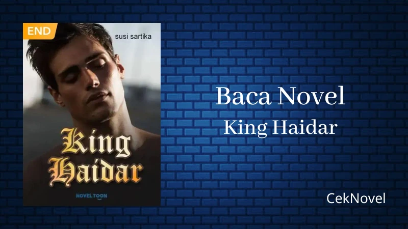 Novel King Haidar