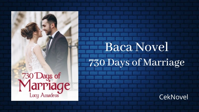 Novel 730 Days of Marriage