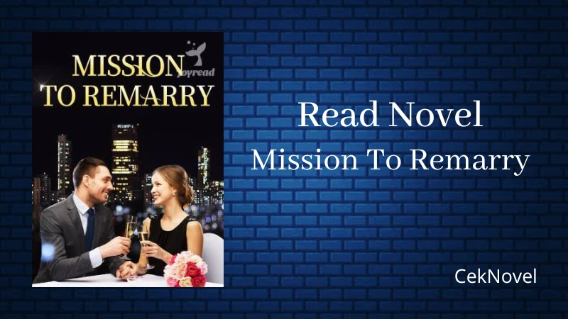 Mission To Remarry Novel
