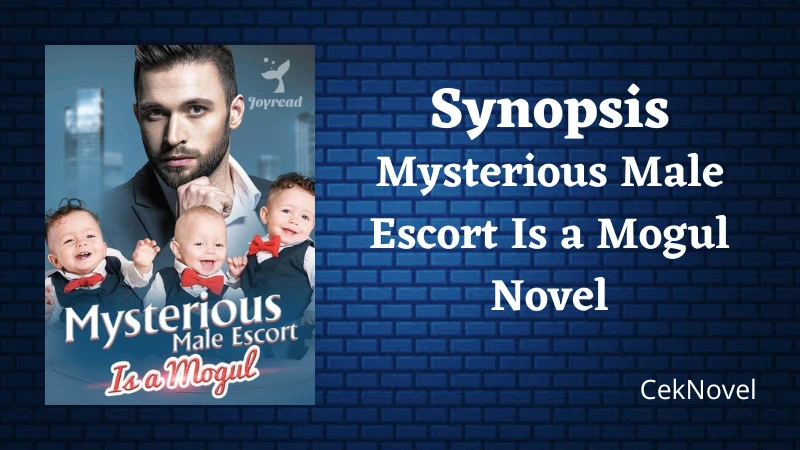 Mysterious Male Escort Is a Mogul Novel