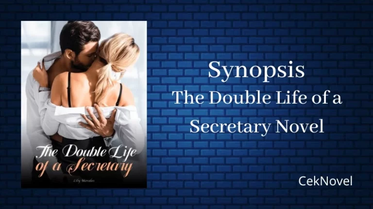 The Double Life of a Secretary Novel