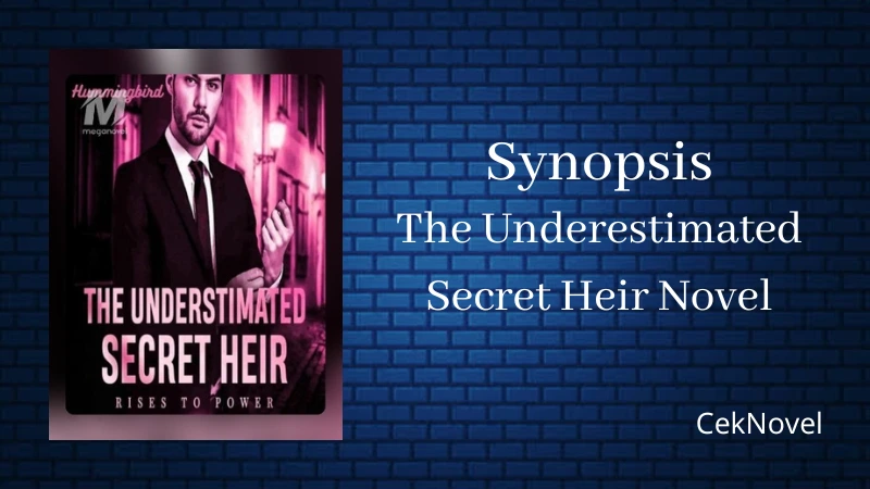 The Underestimated Secret Heir Novel