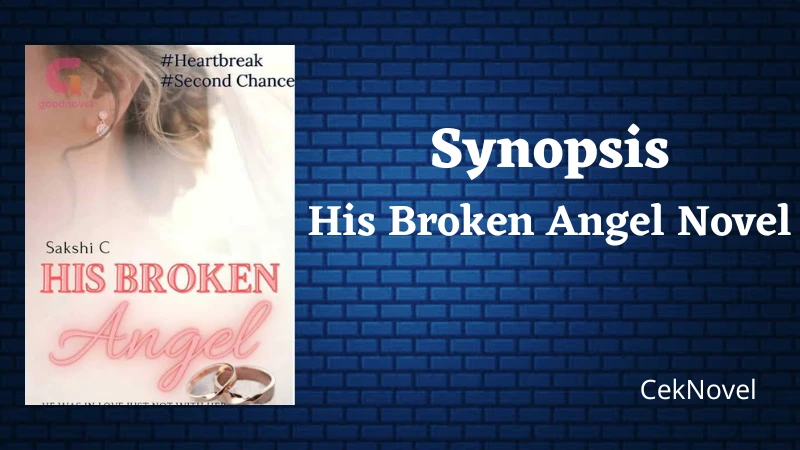 His Broken Angel Novel