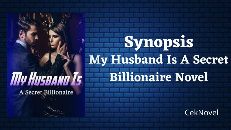 My Husband Is A Secret Billionaire Novel