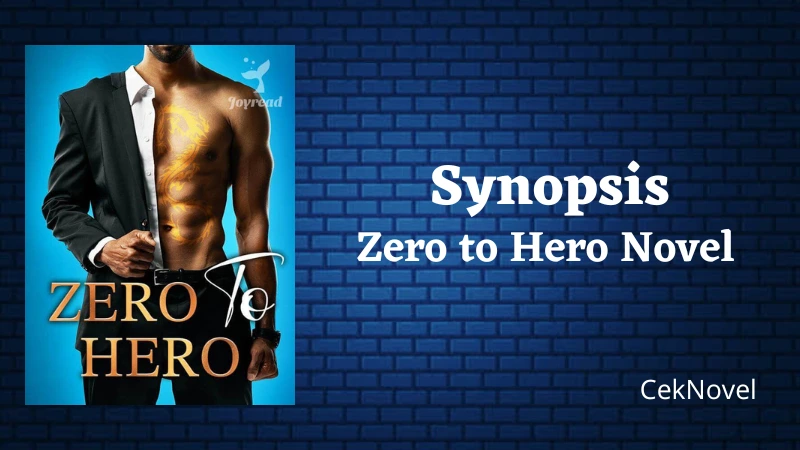 Zero to Hero Novel