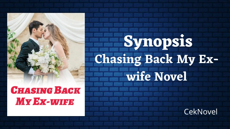 Chasing Back My Ex wife Novel