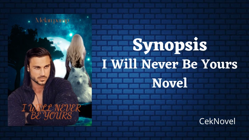I Will Never Be Yours Novel