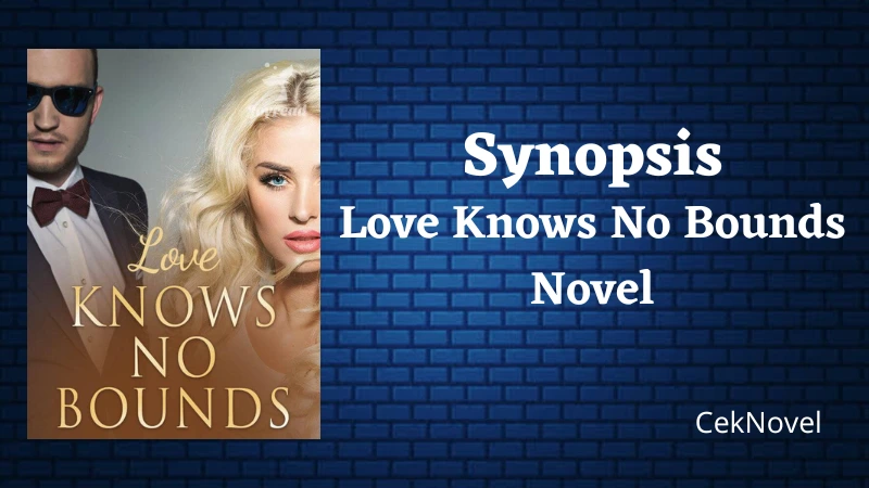 Love Knows No Bounds Novel