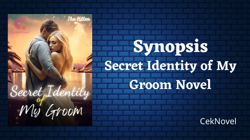Secret Identity of My Groom Novel